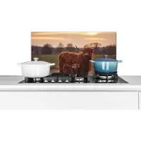 KitchenYeah Spatscherm - Spatwand - Schotse hooglander - Kalf - Koe - Zonsondergang - Natuur - Muurbeschermer - 70x30 cm - Achterwand keuken - Spatscherm natuur - Decoratie keuken