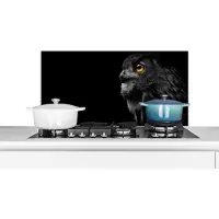 KitchenYeah Spatscherm keuken 80x40 cm - Kookplaat achterwand Uil - Vogel - Zwart - Portret - Muurbeschermer - Spatwand fornuis - Hoogwaardig aluminium