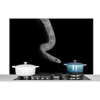 KitchenYeah Spatscherm keuken 120x80 cm - Kookplaat achterwand Dieren - Slang - Zwart - Wit - Portret - Muurbeschermer - Spatwand fornuis - Hoogwaardig aluminium