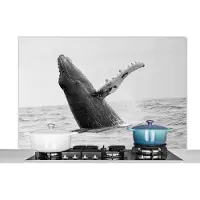 KitchenYeah Spatscherm keuken 120x80 cm - Kookplaat achterwand Bultrug walvis in de oceaan bij Costa Rica in zwart wit - Muurbeschermer - Spatwand fornuis - Hoogwaardig aluminium