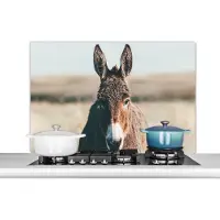 KitchenYeah Spatscherm keuken - Spatwand - Dieren - Ezel - Gras - Portret - Keuken - Wanddecoratie - Spatbord - 100x65 cm