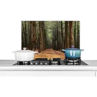 KitchenYeah Spatscherm keuken 70x50 cm - Kookplaat achterwand Herfst - Landelijke decoratie - Bos - Muurbeschermer - Spatwand fornuis - Hoogwaardig aluminium