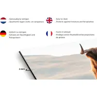 KitchenYeah Spatscherm keuken 120x60 cm - Kookplaat achterwand Schotse hooglander - Dieren - Landelijk - Landschap - Koe - Natuur - Muurbeschermer - Spatwand fornuis - Hoogwaardig aluminium