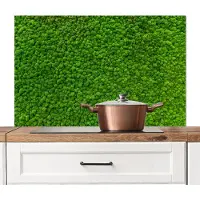 KitchenYeah Spatscherm keuken 100x65 cm - Kookplaat achterwand Mos - Groen - Natuur - Bos - Muurbeschermer - Spatwand fornuis - Hoogwaardig aluminium