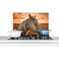 KitchenYeah Spatscherm keuken 70x50 cm - Kookplaat achterwand Paard - Dieren - Portret - Muurbeschermer - Spatwand fornuis - Hoogwaardig aluminium