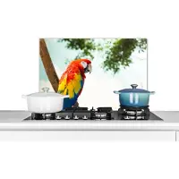KitchenYeah Spatscherm keuken 60x40 cm - Kookplaat achterwand Papegaai - Vogel - Regenboog - Tropical - Muurbeschermer - Spatwand fornuis - Hoogwaardig aluminium
