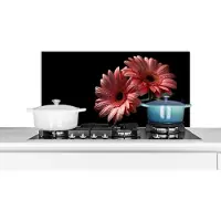 KitchenYeah Spatscherm keuken 80x40 cm - Kookplaat achterwand Bloemen - Gerbera - Roze - Natuur - Portret - Muurbeschermer - Spatwand fornuis - Hoogwaardig aluminium