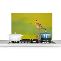 KitchenYeah Spatscherm keuken 90x60 cm - Kookplaat achterwand Vogel - Dieren - Grutto - Paal - Groen - Muurbeschermer - Spatwand fornuis - Hoogwaardig aluminium