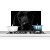 KitchenYeah Spatscherm keuken 70x50 cm - Kookplaat achterwand Hond - Huisdier - Zwart - Muurbeschermer - Spatwand fornuis - Hoogwaardig aluminium