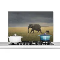 KitchenYeah Spatscherm keuken 100x65 cm - Kookplaat achterwand Olifant - Savanne - Dieren - Natuur - Muurbeschermer - Spatwand fornuis - Hoogwaardig aluminium