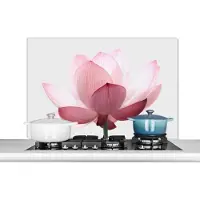 KitchenYeah Spatscherm keuken 100x65 cm - Kookplaat achterwand Bloemen - Roze - Natuur - Botanisch - Muurbeschermer - Spatwand fornuis - Hoogwaardig aluminium