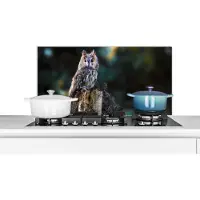 KitchenYeah Spatscherm keuken 80x40 cm - Kookplaat achterwand Uil - Herfst - Vogel - Takken - Muurbeschermer - Spatwand fornuis - Hoogwaardig aluminium