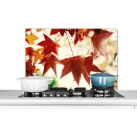 KitchenYeah Spatscherm keuken 90x60 cm - Kookplaat achterwand Herfstbladeren - November - Natuur - Bomen - Muurbeschermer - Spatwand fornuis - Hoogwaardig aluminium