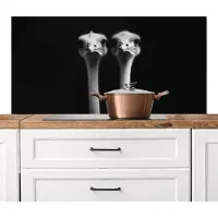 KitchenYeah Spatscherm keuken 120x60 cm - Kookplaat achterwand Struisvogels - Halzen - Zwart - Minimalistisch - Muurbeschermer - Spatwand fornuis - Hoogwaardig aluminium