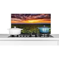 KitchenYeah Spatscherm - Spatwand - Keuken - Bos - Wolken - Avond - Zonsondergang - Keuken decoratie - Achterwand keuken - 80x40 cm - Muurbeschermer - Spatscherm gasfornuis