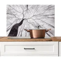 KitchenYeah Spatscherm keuken 90x60 cm - Kookplaat achterwand Boom - Takken - Bladeren - Mist - Muurbeschermer - Spatwand fornuis - Hoogwaardig aluminium