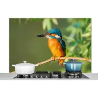 KitchenYeah Spatscherm keuken 120x80 cm - Kookplaat achterwand Vogel - IJsvogel - Tak - Bladeren - Mos - Muurbeschermer - Spatwand fornuis - Hoogwaardig aluminium