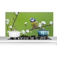 KitchenYeah Spatscherm keuken 120x60 cm - Kookplaat achterwand Pimpelmees - Tak - Bloemen - Bloesem takken - Vogel - Muurbeschermer - Spatwand fornuis - Hoogwaardig aluminium