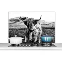 KitchenYeah Spatscherm keuken - Wanddecoratie - Schotse hooglander - Gras - Zwart - Wit - Bergen - Koe - Achterwand keuken - Spatbord - 100x65 cm
