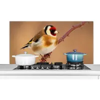KitchenYeah Spatscherm keuken 120x60 cm - Kookplaat achterwand Putter - Vogel - Dieren - Muurbeschermer - Spatwand fornuis - Hoogwaardig aluminium
