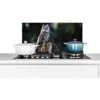 KitchenYeah Spatscherm keuken 60x30 cm - Kookplaat achterwand Uil - Herfst - Vogel - Takken - Muurbeschermer - Spatwand fornuis - Hoogwaardig aluminium