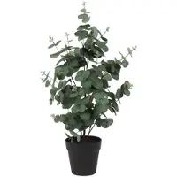 Countryfield Kunstplant Eucalyptus Groen 65 cm – Kunsttak Eucalyptus – Onderhoudsvrije Woondecoratie