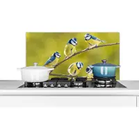 KitchenYeah Spatscherm keuken 90x45 cm - Kookplaat achterwand Vogel - Pimpelmees - Takken - Zon - Muurbeschermer - Spatwand fornuis - Hoogwaardig aluminium