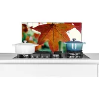 KitchenYeah Spatscherm keuken 70x30 cm - Kookplaat achterwand Herfst - Landelijk - Bladeren - Seizoenen - Landelijk - Muurbeschermer - Spatwand fornuis - Hoogwaardig aluminium