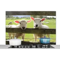 KitchenYeah Spatscherm keuken 120x80 cm - Kookplaat achterwand Schapen - Dieren - Boerderij - Muurbeschermer - Spatwand fornuis - Hoogwaardig aluminium