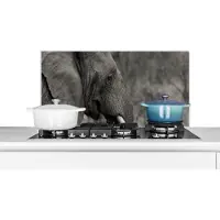KitchenYeah Spatscherm keuken 90x45 cm - Kookplaat achterwand Olifant - Dieren - Zwart - Wit - Muurbeschermer - Spatwand fornuis - Hoogwaardig aluminium