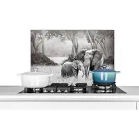 KitchenYeah Spatscherm keuken 70x50 cm - Kookplaat achterwand Olifant - Dieren - Natuur - Zwart wit - Muurbeschermer - Spatwand fornuis - Hoogwaardig aluminium