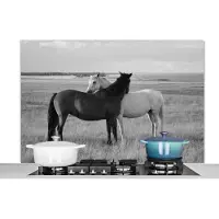 KitchenYeah Spatscherm keuken 120x80 cm - Kookplaat achterwand Paarden - Dieren - Portret - Zwart wit - Platteland - Muurbeschermer - Spatwand fornuis - Hoogwaardig aluminium