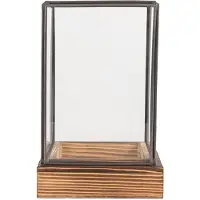 Clayre & Eef Decoratie Kweekkastje 12x12x19 cm Transparant Glas