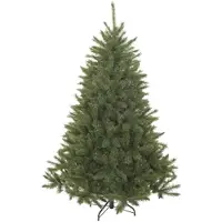 Triumph tree Forest Frosted Bristlecone Fir Green 215