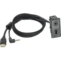ACV 44-1324-002 tussenstuk voor kabels OEM USB / AUX USB-A / 3,5mm Zwart