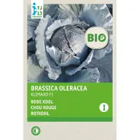 Intratuin Biologisch Groentezaad Rode Kool (Brassica Oleracea 'Klimaro F1')