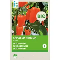 Intratuin Biologisch Groentezaad Snack Paprika (Capsicum Annuum 'Flyn Oranje')
