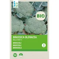Intratuin Biologische Groentezaad Broccoli (Brassica Oleracea 'Belstar F1')