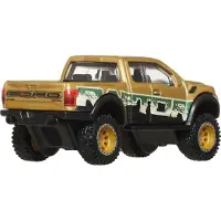 Mattel Hot Wheels Premium Car Culture Diecast Vehicle 1/64 2017 Ford F-150 Raptor Vehicles