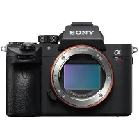 Sony A7R Iii + Sel 100-400Mm F4.5-5.6 Oss