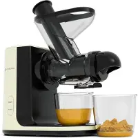 Kitchenbrothers Slowjuicer - Juicer - Groenten en Fruitpers - 43 mm en 60 mm invoer - 400 ml - Champagne