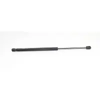 BSG 90-980-002 Gasveer achterklep