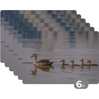 KitchenYeah Placemat - Placemats kunststof - Eend - Water - Vogel - Bruin - 45x30 cm - 6 stuks - Hittebestendig - Anti-Slip - Onderlegger - Afneembaar