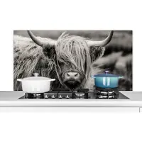 KitchenYeah Spatscherm keuken 120x60 cm - Kookplaat achterwand Schotse hooglander - Koe - Dieren - Zwart wit - Landelijk - Muurbeschermer - Spatwand fornuis - Hoogwaardig aluminium