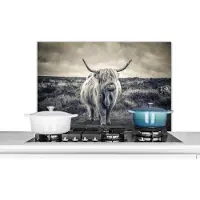 KitchenYeah Spatscherm keuken 80x55 cm - Kookplaat achterwand Schotse hooglander - Dieren - Wolken - Koe - Natuur - Muurbeschermer - Spatwand fornuis - Hoogwaardig aluminium