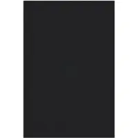 vidaXL Deurmat Zwart 120 x 180 cm 100% Polyamide