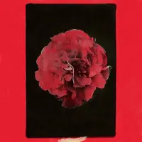 Konkurrent Activity - A Thousand Years In Another Way (LP)