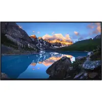 Dell UltraSharp 60,5 cm (23,8 ) LCD Monitor U2424H