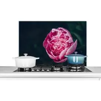 KitchenYeah Spatscherm keuken 80x55 cm - Kookplaat achterwand Bloemen - Roze - Rozen - Muurbeschermer - Spatwand fornuis - Hoogwaardig aluminium