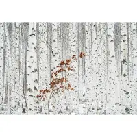 A.S. Création Fotobehang White Birch Forest DD118937 Designwalls Blauw Vlies 384 X 260 cm (8 delen) Fotobehang